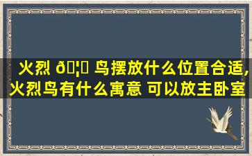 火烈 🦆 鸟摆放什么位置合适,火烈鸟有什么寓意 可以放主卧室吗